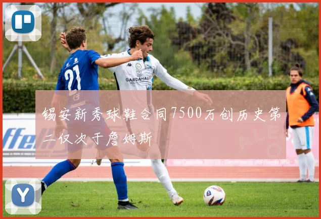 锡安新秀球鞋合同7500万创历史第二仅次于詹姆斯